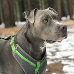Angelo Nittoli - @_ang.low_ - Instagram