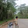 noel angelo - @noel.angelo11 - TikTok