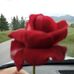 Angelo Nole - Facebook