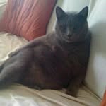 normand_angelо - @normand_angelop - Instagram