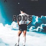 Angelo Novelli - @angelo.novelli_77 - Instagram