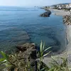 Angelo Novello953 - @angelonovello953 - TikTok