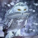 Angelo Novello - @novello.angelo - Instagram