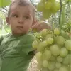 angelonovello75 - @angelonovello75 - TikTok