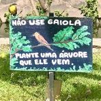 Angelo Nunes Sousa Nunes - Facebook
