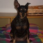 Angelo Olivieri - @angelo.olivieri.140 - Instagram