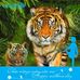 Angelo Olles - Facebook