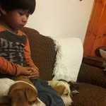 Angelo Orellana - @angelo.orellana.587 - Instagram