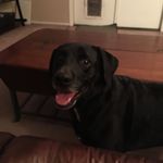 Angelo Palacio - @angelop_2944 - Instagram
