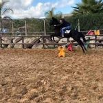 Angelo Palermo - @palermo9689 - Instagram