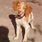 Angelo Palermo - @angelo.palermo.7393 - Instagram