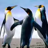 Angelo Paletta - @angelopaletta - TikTok