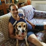 Angelo Palombi - @palang0764 - Instagram
