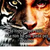 Angelo Palumbo - @angelo.palumbo3 - TikTok
