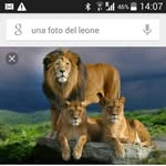Angelo Panariello - @panariello.angelo - Instagram