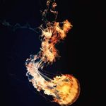 Angelo Panes - @angelo.panes.714 - Instagram