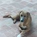 Angelo Pantano - Facebook