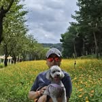 Angelo Park - @angelo_corea - Instagram