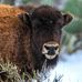 San Angelo State Park - Texas Parks and Wildlife - Facebook