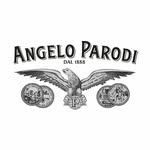 Angelo Parodi - @angelo.parodi - Instagram