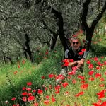 Angelo de Pascale - @angelo1dici - Instagram