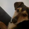 Angelo Passanisi - @angelopassanisi2 - TikTok