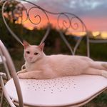 Angelo Porrovecchio - @angi38710 - Instagram