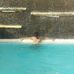Angelo T. Racca - Facebook