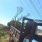 Angelo Reis - Facebook