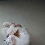 Angelo Reyes - Facebook