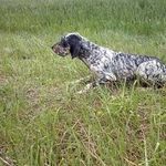 Angelo Rotondo - @angelo.rotondo.980 - Instagram