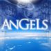 Angelo Rotondo - Facebook