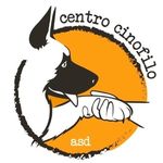 Angelo Russo AR - @centrocinofilo_diamocilazampa - Instagram