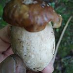 Angelo Salzillo - @salzilloangelo - Instagram