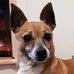 Angelo Simone - Facebook