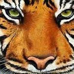 Angelo Tedesco - @angelo.tedesco.5811 - Instagram