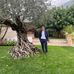 Angelo Tirone - Facebook