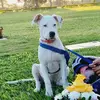 angelo vaca - @yo.soy.tammy - TikTok