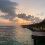 Angelo Velardi - @velardiangelo - Instagram