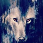 Angelo Velardi - Facebook