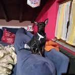 Angelo Velardi - Facebook