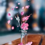 Angelo White - Facebook