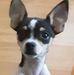 Angie Wolfe - Facebook