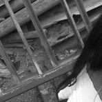 Angie AN - Facebook