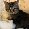 Angie Andersen - @angie.andersen3 - TikTok
