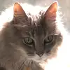Angie Andrews - @angie.andrews0 - TikTok