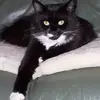 Angie Barber - @angie.barber5 - TikTok