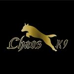 Angie Barron - @chaos_k9 - Instagram