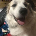 Angie Bartlett - @angie.bartlett.5 - Instagram
