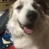 angiebartlett587 - @angiebartlett587 - TikTok